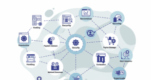 E-Ticaret Altyapı Seçimi