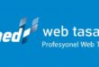 Profesyonel Web Tasarım